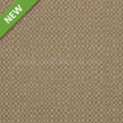 ACTION TAUPE