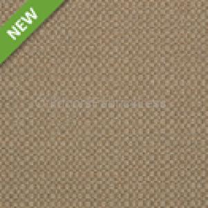 ACTION TAUPE