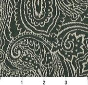 ALPINE PAISLEY