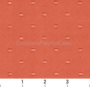 APRICOT DOT