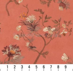 APRICOT GARDEN