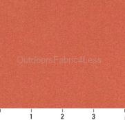 APRICOT SOLID