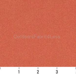 APRICOT SOLID
