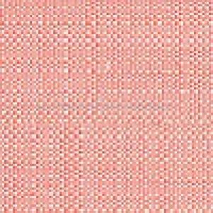 BEACH CORAL