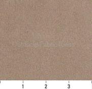 BUCKSKIN
