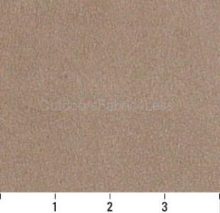 BUCKSKIN