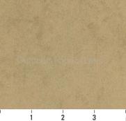 CAMEL # 1534