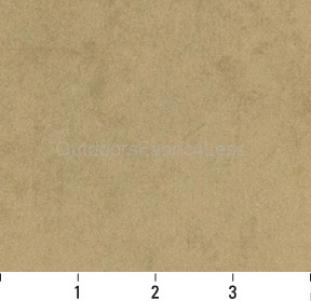 CAMEL # 1534