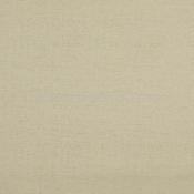 CAMERON SANDSTONE