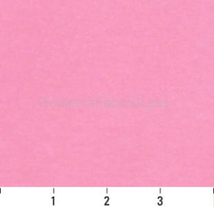 CARNATION