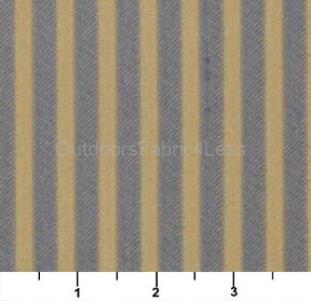 CHAMBRAY STRIPE