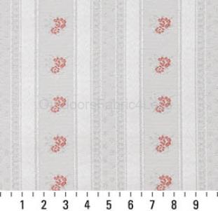 CORAL STRIPE