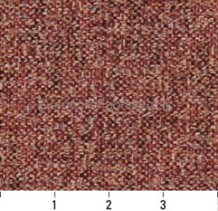 CRANBERRY