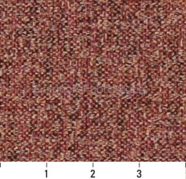 CRANBERRY