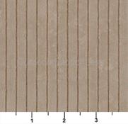 FAWN STRIPE