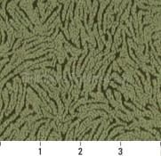 FERN