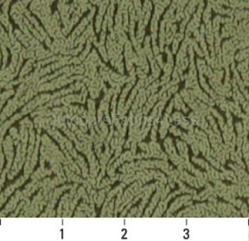 FERN