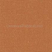 HOTSHOT APRICOT - # 7682