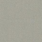 HOTSHOT DOVE- # 7681