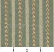 IVY STRIPE