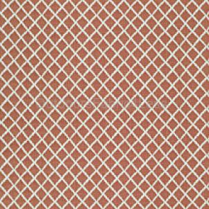 LAVALIER APRICOT (60 YARD MINIMUM)