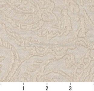 NATURAL PAISLEY