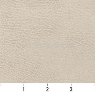 PARCHMENT
