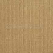 SPENCER SEPIA