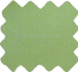 CANVAS GINKO