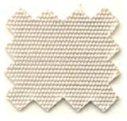 CANVAS CANVAS