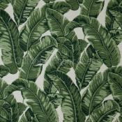 TROPICS JUNGLE