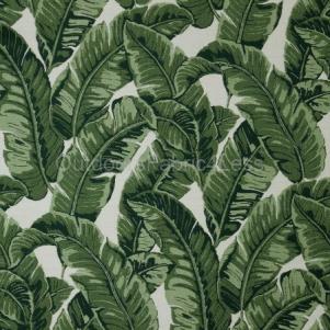 TROPICS JUNGLE