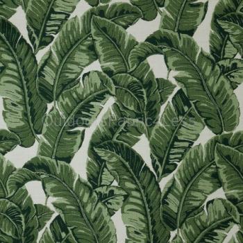 TROPICS JUNGLE