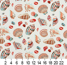 CORAL SHELL 1200